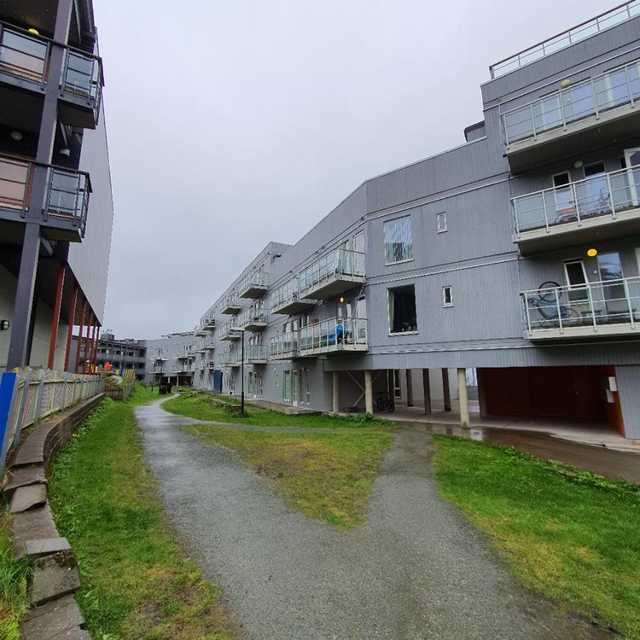 Northern Dreams Apartment With Free Parking Tromso Ngoại thất bức ảnh