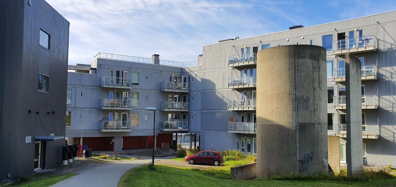 Northern Dreams Apartment With Free Parking Tromso Ngoại thất bức ảnh