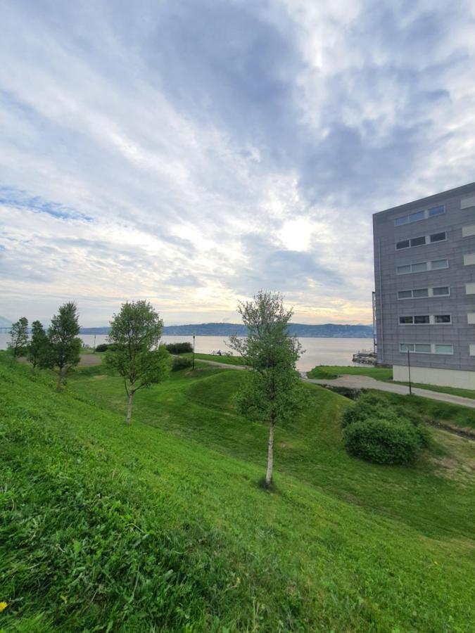 Northern Dreams Apartment With Free Parking Tromso Ngoại thất bức ảnh